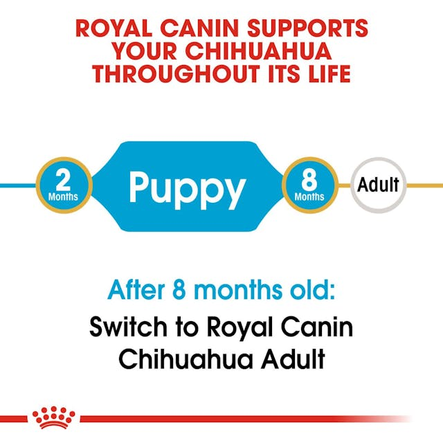 Royal Canin Breed Health Nutrition Chihuahua Puppy - 1.5kg