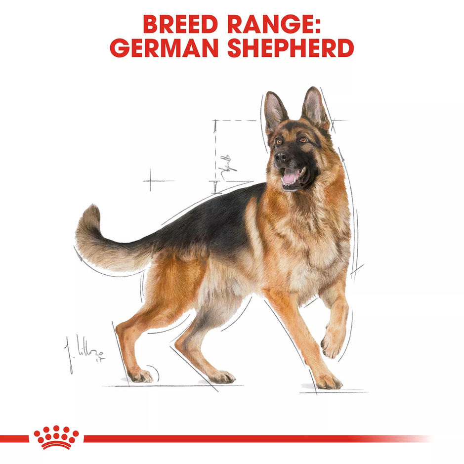 Royal Canin Breed Health Nutrition German Shepherd Adult - 11kg