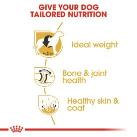 Royal Canin Breed Health Nutrition Labrador Adult - 12kg