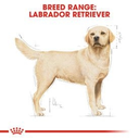 Royal Canin Breed Health Nutrition Labrador Adult - 12kg