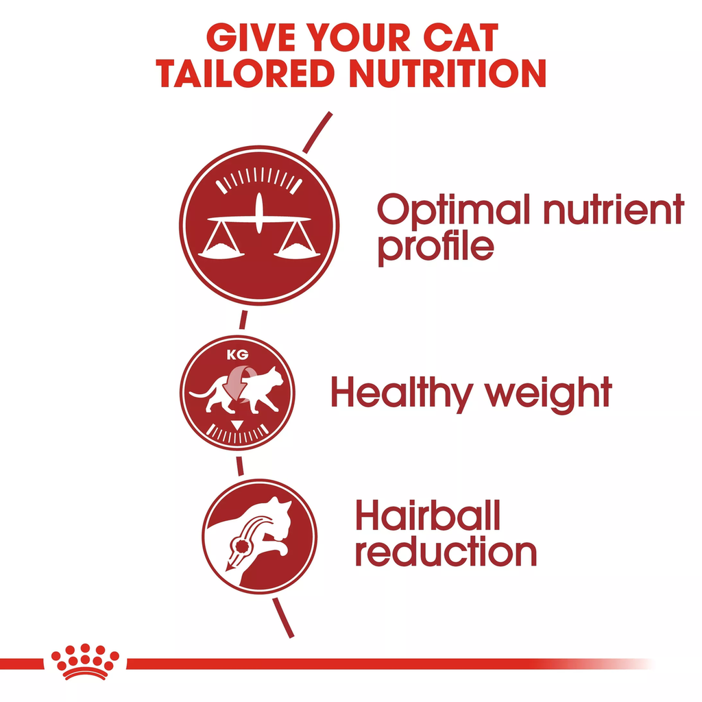 Royal Canin Feline Health Nutrition Fit 32 - 15kg