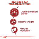 Royal Canin Feline Health Nutrition Fit 32 - 15kg