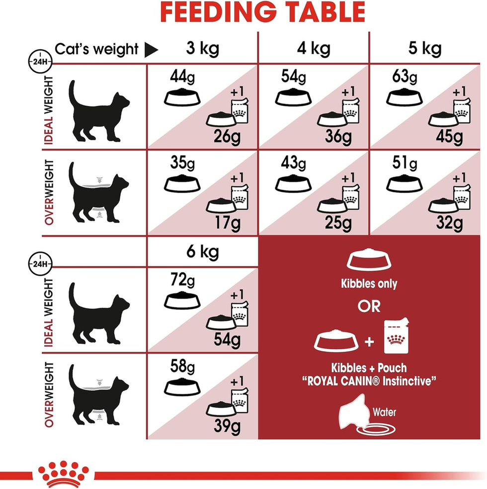 Royal Canin Feline Health Nutrition Fit 32 - 10kg