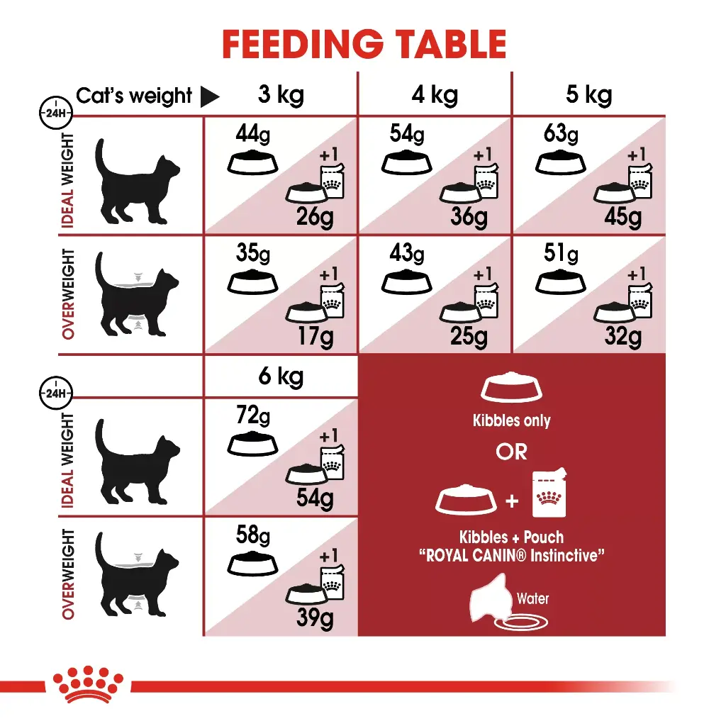 Royal Canin Feline Health Nutrition Fit 32 - 4kg