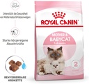 Royal Canin Feline Health Nutrition Mother and Babycat - 2kg