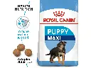 Royal Canin Size Health Nutrition Maxi Puppy - 1kg