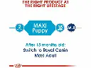 Royal Canin Size Health Nutrition Maxi Puppy - 1kg