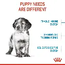 Royal Canin Size Health Nutrition Medium Puppy - 1kg