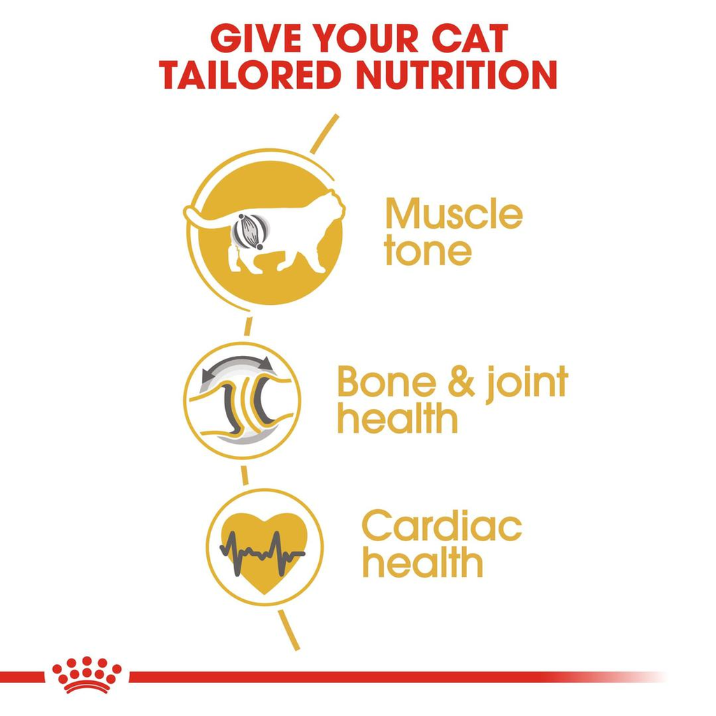 Royal Canin Feline Breed Nutrition British Shorthair Adult - 4kg_4