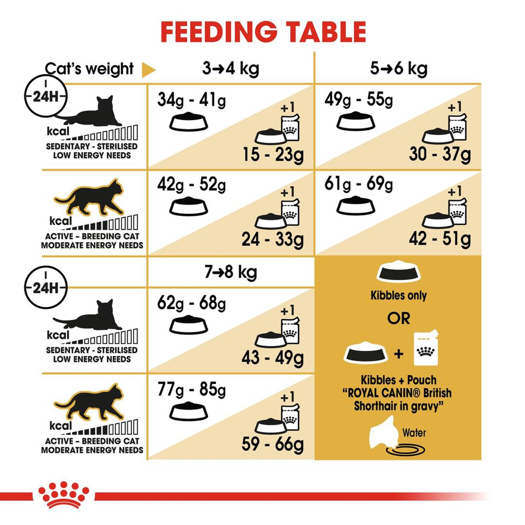 Royal Canin Feline Breed Nutrition British Shorthair Adult - 4kg_1