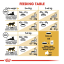 Royal Canin Feline Breed Nutrition British Shorthair Adult - 4kg_1