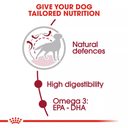 Royal Canin Size Health Nutrition Medium Adult - 10kg_5