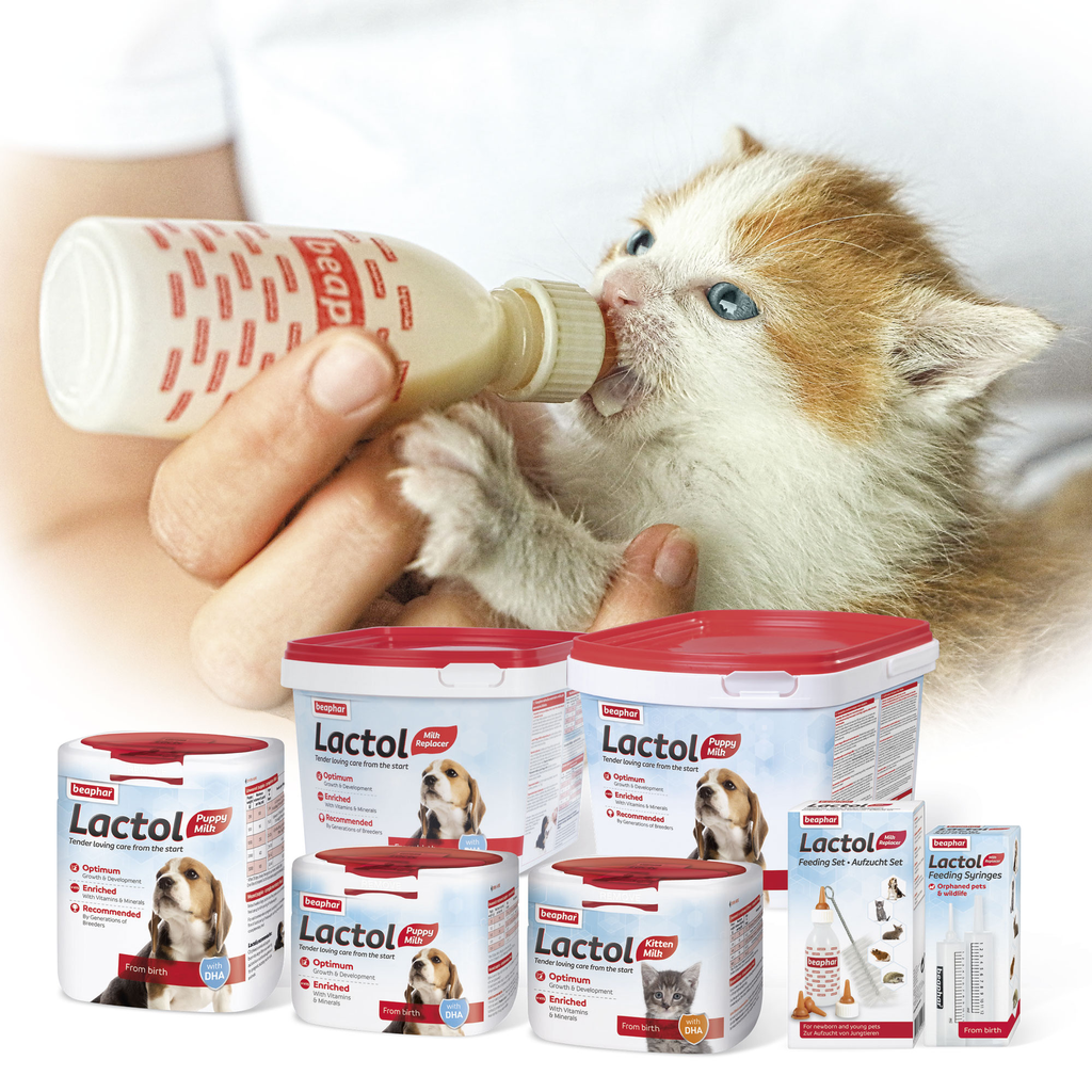 Beaphar Lactol Kitten 250g_4