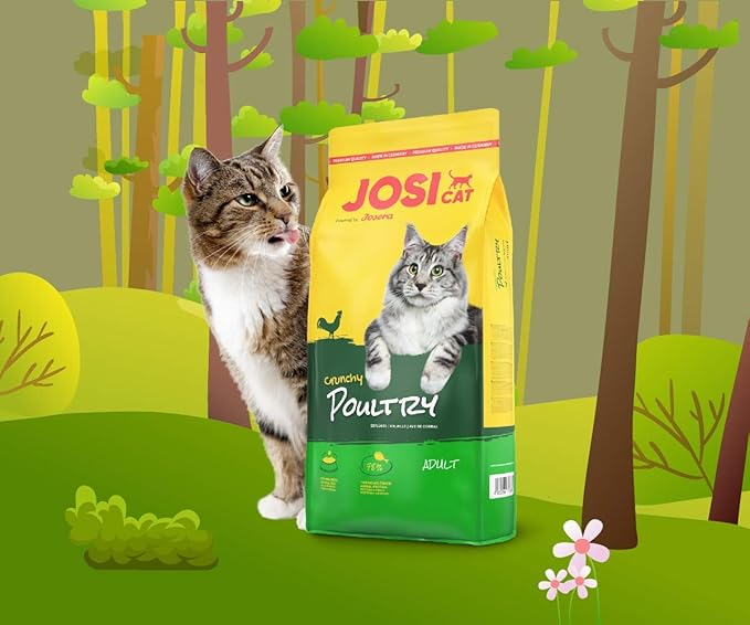 Josera JosiCat Crunchy Chicken Dry Cat Food - 10kg_6