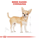 Royal Canin Breed Health Nutrition Chihuahua Adult - 1.5kg