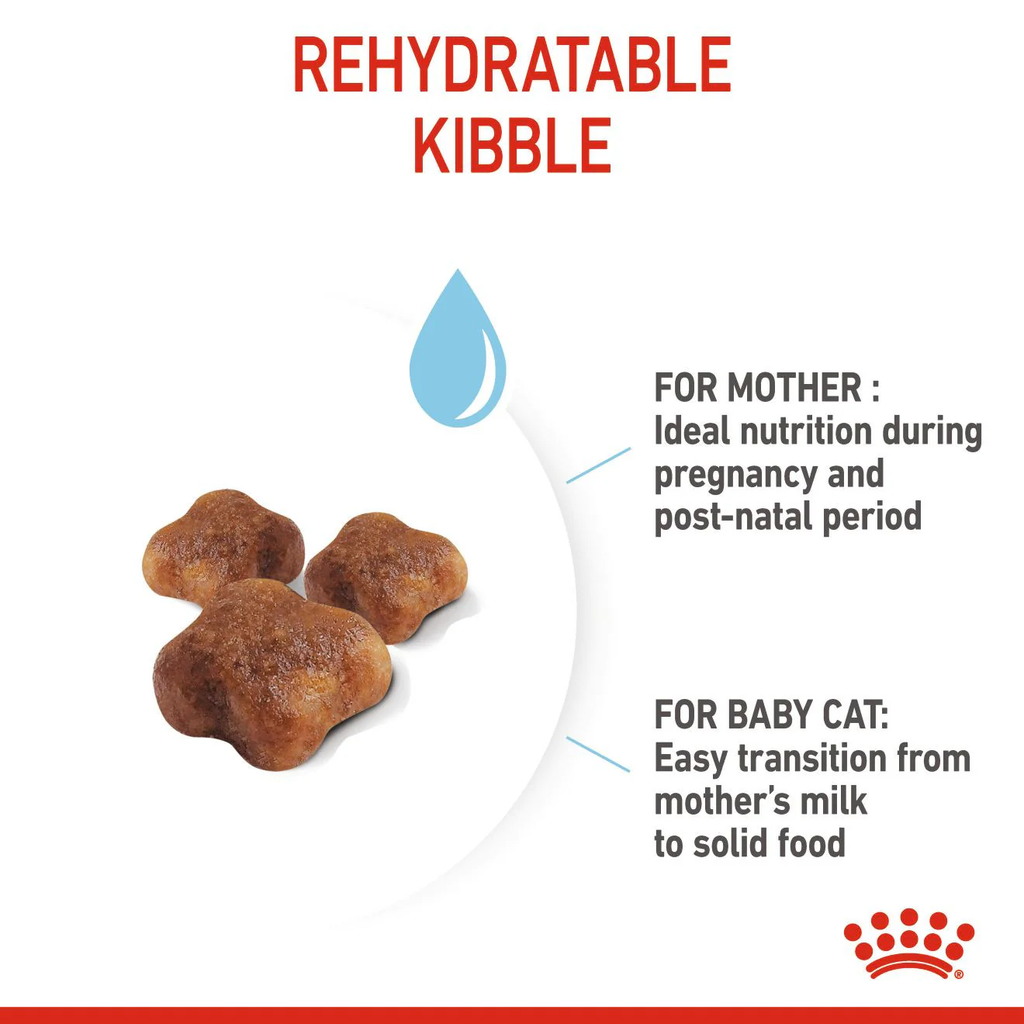 Royal Canin Feline Health Nutrition Mother and Babycat - 2kg