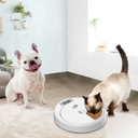 All For Paws 5-Meal Pet Feeder