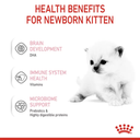 Royal Canin Feline Health Nutrition Babycat Milk - 300g