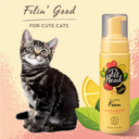 Pet Head Felin' Good Foam - 200ml_3