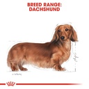 Royal Canin Breed Health Nutrition Dachshund Adult - 1.5kg