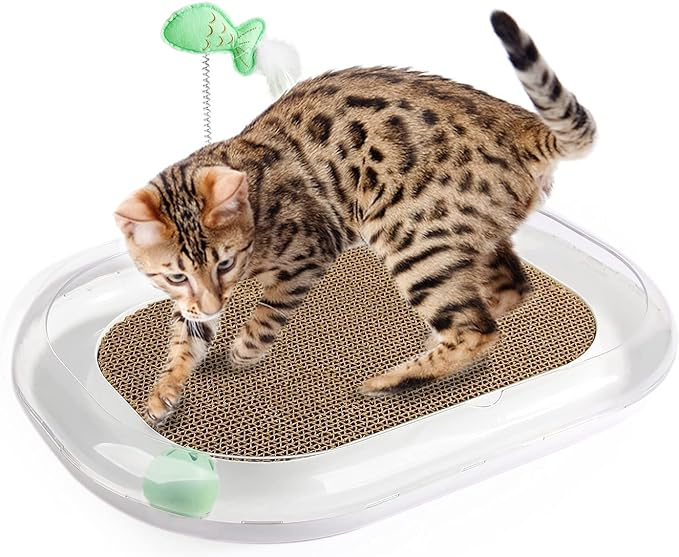 All For Paws: Cat Runway Scratcher