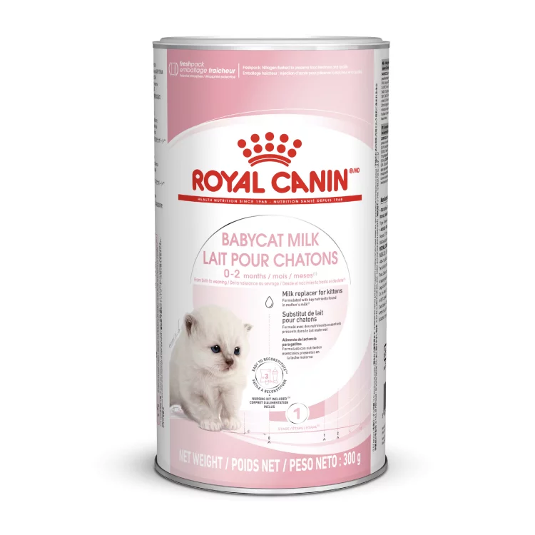 Royal Canin: Feline Health Nutrition Babycat Milk - 300g