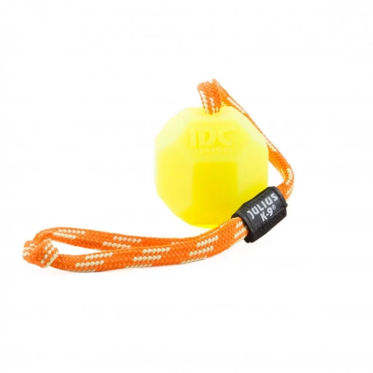 Julius-K9: Fluorescent Ball with String