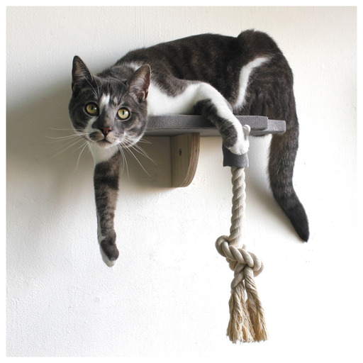 All For Paws: Skywalk Step-In Platform With Rope