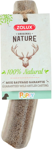 Zolux: Natural Deer Antler for Puppies